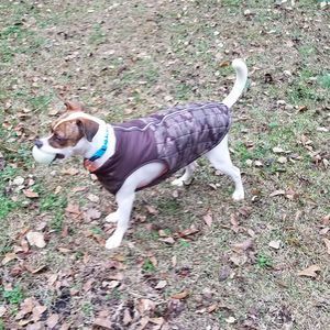 Meet your Posher, Kristal